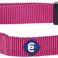 Blueberry Pet Essentials Small Dog Collar in Very Berry | Adjustable & Eco-Friendly Durable Nylon Strap | Classic Collar for Small Dogs, Boy & Girl Pets