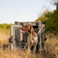Heavy Duty Fully Collapsible Powder-Coated Aluminum Dog Crate - Large (Gray)