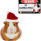 Venicor Guinea Pig Sign Decor - 8 x 12 Inches - Aluminum - Guinea Pig Gifts for Guinea Pig Lovers - Cage Accessories Toys Stickers Stuff