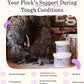 Grubbly Farms Prebiotics + Probiotics for Chickens (30 Day)