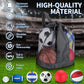 Realspring 6 Pcs Multi Sport Ball Set for Kid Teen Operation Christmas Official Size Football, Basketball, Soccer, Volleyball, Playground Ball, Baseball with Sports Equipment Bag Pump