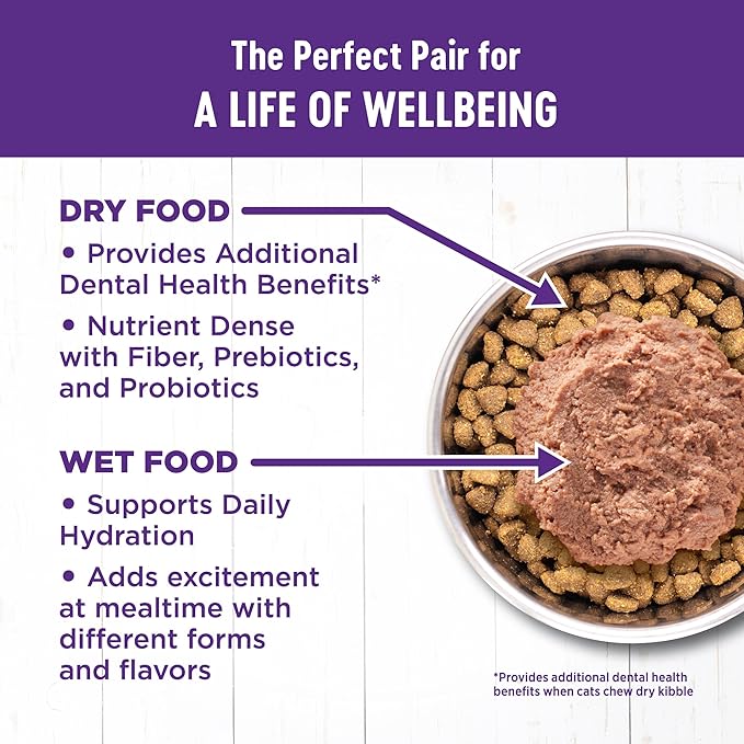 Wellness Complete Health Pate Adult Wet Cat Food, Natural, Protein-Rich, Grain-Free, 3 Ounce, 24 Pack, (Seafood Favorites Variety Pack)