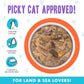 Weruva B.F.F. OMG - Best Feline Friend Oh My Gravy! Grain-Free Wet Cat Food Cans, Crazy 4 U! Chicken & Salmon, 2.8oz Can (Pack of 12)