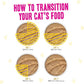 Weruva B.F.F. Play - Best Feline Friend Paté Lovers, Aw Yeah!, Fowl Play Yellow Patés Variety Pack, 2.8oz Can (Pack of 18)