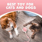 Pawlo Speedy Tail 2.0 Cat Toy –Teazys Turbo Tail Upgrade – Interactive Cat Toy – Kitten Toys – Automatic cat Toy for Boredom – Moving cat Toys for Indoor Cats with 2 Tails (Pink)