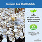 Natural Organic Sea Shell Mulch for Gardens and Landscaping – Decorative and Nutrient-Rich, 0.5–3-Inch Shells, Perfect for Indoor and Outdoor Use (2 CF - 56 L - 60 QTS)