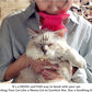 Cat Brush Shedding Grooming, Soft Massage Cat Tongue Brush, Licking Your Cat Like a Mama Cat to Comfort, Surprise Pet Gifts