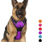 BARKBAY No Pull Dog Harness Large Step in Reflective Dog Harness with Front Clip and Easy Control Handle for Walking Training Running(Purple,XL)
