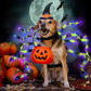 OurWarm Dog Halloween Costumes for Pet 64 LED Furry Large Dog Spider Costume Funny Pet Costumes for Medium Big Dogs Halloween Party Decor Puppy Pets Outfits Cosplay