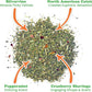 Meowijuana | Winter Lift Catnip Holiday Blend | Premium Organic Catnip | Grown in North America | Perfect for Cat Toys | Fresh Catnip for Extended Playtime