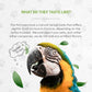 Birds Feathers | Natural Herbal Dietary Pet Supplement for Birds | Support Healthy Feathers | Alcohol-Free Extract, Dandelion Root, Calendula, Alfalfa, Peppermint, Fennel 2 oz