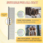 Dog Comb and Cat Combs Stainless Steel Teeth, Grooming Tool for Long & Short Hair, Dematting Comb for Dogs, Removes Tangles & Knots (Large Silver)