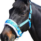 T TEKE Lunge Cavesson with Fleece Lined Nose Band and Crown