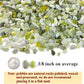 5 lbs Jade Gravel Small Pebbles for Indoor Plants, Decorative Rocks for Plants Succulents Cactus Bamboo Vases Filler and Potted Drainage Gravel