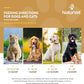 NaturVet Scoopables Omega-Gold Anchovy Oil & Salmon Supplement For Dogs and Cats - Supports Healthy Skin & Coat Plus DHA, EPA, Omega-3, & Omega-6 - Anchovy & Salmon Flavored For Dog and Cat | 11oz Bag