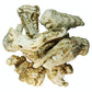 Green Hill Tea Astragalus Root Tea – Dried Astragalus root for Herbal Infusion - Traditional Chinese Herbal Tea - Caffeine-Free, Gluten-Free, Vegan - Rich in Antioxidants當歸 当归 5 OZ