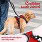 rabbitgoo Dog Harness No Pull with 2 Leash Clips, Adjustable Soft Padded, Reflective Oxford No Choke Pet Vest with Easy Control Handle for Large Dogs, Red, XL
