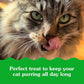 Greenies Feline Smartbites Healthy Indoor Cat Treats, Chicken Flavor, 2.1 oz. Pack