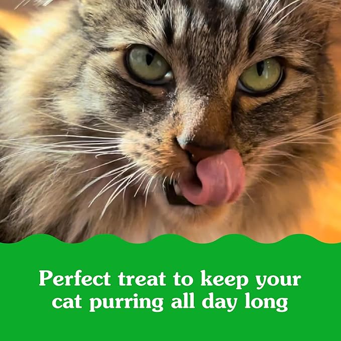 Greenies Feline Smartbites Skin & Fur Health Crunchy and Soft Cat Treats, Salmon Flavor, 4.6 oz. Pack