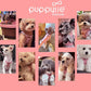Puppytie No Pull XXS Puppy Harness with Multifunction Dog Leash,Soft Adjustable No Choke Escape Proof Pet Harness Vest,Pink,XXS