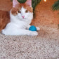 40-Pack Cat Balls – Fun Interactive Toys for Indoor Cats & Kittens (Basic Cat Toy Set)