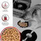 BIXBI Rawbble Freeze Dried Dog Food, Beef Recipe, 26 oz - 98% Meat and Organs, No Fillers - Pantry-Friendly Raw Dog Food for Meal, Treat or Food Topper - USA Made in Small Batches