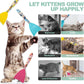 BINGPET 6 Pcs Catnip Toys for Cats,Interactive Cat Toy for Bored Indoor Kitten Adult Cats,Cat Fish Toy Filled with Natural Catnip,Cute Crinkle Cat Toy Kitten Toys Cat Chew Kicker Toy for All Breeds