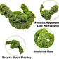 BNOSDM Reptile Plants,Flexible Rainforest Vines with Moss,Bendable Jungle Climbing Vines,Terrarium Artificial Plants Decor for Bearded Dragon,Hermit Crab,Snake,Geckos,Chameleon,Lizard