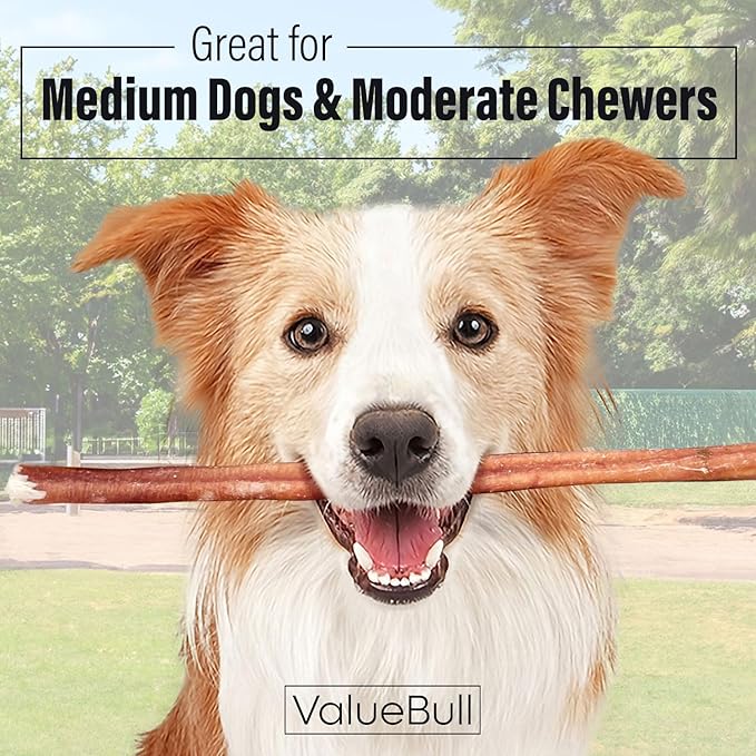 ValueBull Bully Sticks for Dogs, Medium 12 Inch, 200 Count Bulk Pack - All Natural, Grass Fed, Single Ingredient, Long Lasting Dog Treats