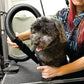 METROVAC AFTD-3: Air Force Commander 2-Speed Dryer - Pink | 4.0 HP | Professional Pet Grooming Blower | Made in USA