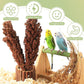 Fhiny Millet Spray for Birds, 6 PCS Natural Sun-Dried Red Sorghum Grain for Birds Seed Original Parrot Treats & Supplement Parakeet Food for Cockatiels Lovebirds Finches Budgies Pigeons Hamsters