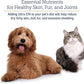 Rx Vitamins Ultra EFA Omega 3 Fish Oil for Dogs & Cats - Promotes Heart, Brain, and Joint Health with Vitamin E, Biotin, and Zinc - Liquid Fish Oil for Itch Relief, Dog Shedding, Coat Health - 8 oz