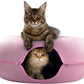 Cattasaurus Peekaboo Cat Cave for Multiple & Large Cats Up to 30-45 Lbs, Scratch Detachable & Washable Tunnel Bed, Comfy Donut Cat Cave (Pink, Jumbo)