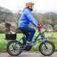 Bike Basket Rear with Liner,Waterproof Cover,Cargo Net Large Rear Bike Basket,Heavy Duty Bicycle Rear Basket for Electric Bike, Ebike,Great for Bike Trip,Carrying Grocery,Ball,Dog