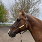 Leaders 3/4" Leather Halter for Horses with Customized Engraved Name Plate Brown Leather with Solid Brass Hardware