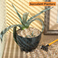 5lb Mixed Sand Rocks Pebbles Pumice Potting Soil Amendment Succulent Cactus Bonsai Gritty Rock Decorative Gravel for Succulents, Bonsai, Vase Fillers,Terrarium Plants