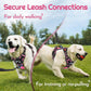 Eagloo Dog Harness for Large Dogs, Easy Wearing with 3 Buckles, Adjustable No Pull Pet Harness with 2 Rings for Walking, No Chock Reflective Soft Padded Vest with Control Handle, Pink & Black, L