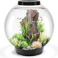 biOrb Classic 60 Acrylic 16-Gallon Aquarium with White LED Lights Modern Tank for Tabletop Display, Black