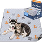 Washable Pee Pads for Dogs, 2 Pack Absorbent Reusable Training Dog Pads Pet Puppy Pads, Non-Slip Potty Pads for Whelping, Playpen, Crate, Bed, Orange, 24"x36"