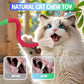 Cat Toys Chew Rope & Silvervine Sticks for Bored Indoor Adult Cats, 4Pcs Interactive Catnip Toys for Cats with Refillable Natural Catnip Bag for Teeth Cleaning