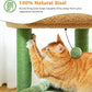 PEQULTI Cat Tree Cactus Cat Tower for Indoor Cats with Private Cozy Cat Condo, Natural Sisal Scratching Posts and Plush Pom-pom for Small Cats Green
