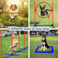 4 Sets Pets Agility Training Equipment, Adjustable Dog Hoop, Dog Jump, Weave Poles and Pause Box，with Independent Packaging(4 Sets)