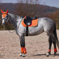 HORZE Adepto Padded All Purpose Quilted Equestrian Saddle Pad for Horses with Two-Tone Trim