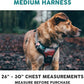 Embark Adventure Dog Harness, Reflective Trim No Pull Dog Harness Medium Sized Dogs - Military Grade Nylon, Front Clip with Gel Lined Handle.