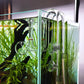 Glass Lily Pipe Spin Outflow with Surface Skimmer for Aquarium Planted Tank (17mm for 16/22mm (5/8'' i.d.) tubing)