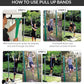 Pull Up Assist Bands Set by Functional Fitness. Heavy Duty Resistance and Assistance Training Band