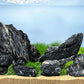 LANDEN Dark SEIRYU Stones Natural Rocks (3~11 inches,11pcs) x2 40Lx 2 Cases Total 80L 37lbs for Aquarium, Paludarium, Terrariums, Landscaping Rocks, Decorative Aquarium Rocks