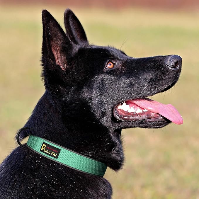 Plutus Pet Tactical Dog Collar, Reflective, Adjustable Heavy Duty Dog Collar, Soft Padded and Comfortable, for Small Medium and Large Dogs (Teal, XL)