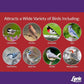Lyric Delite Wild Bird Seed for Outside Feeders - No Waste Bird Food, Nuts & Seeds Mix, Attracts Buntings, Chickadees & Finches, 10 lb (Pack of 2-5 lb Bags)