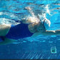 Taper8 Swim Training Pull Buoy by Ray-Board: No-Slip, Ergonomic, Premium, Pool aid, Leg and Hip Support, Performance